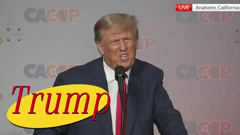 Trump as Seinfeld 😂😂😂