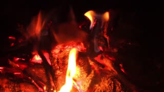 Melting Marshmallow In The Fire Fascinating