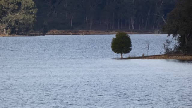 Sugarloaf Reservoir