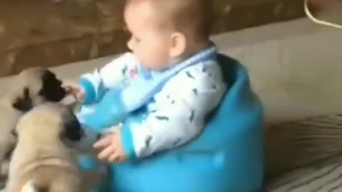 Funny Kids and Animals #10