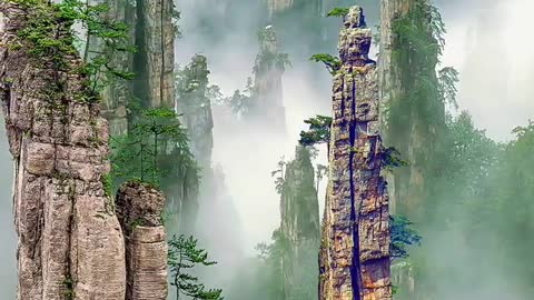 A trip to Zhangjiajie