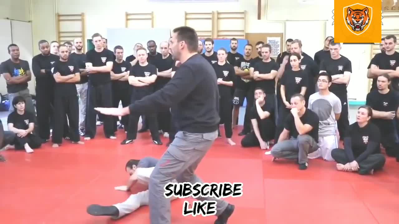 BEST Self Defence (Unbelievable Master Techniques)