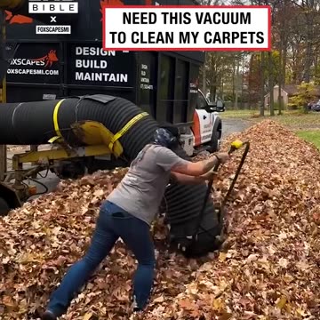 Cleaning up leaves 🍂