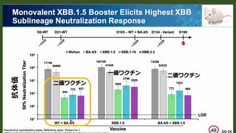 ワクワク XBB