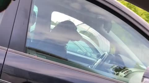 Black dog waiting in front seat of car