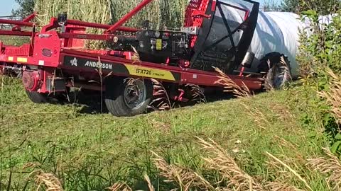 Wrapping Oat Greenfeed bales