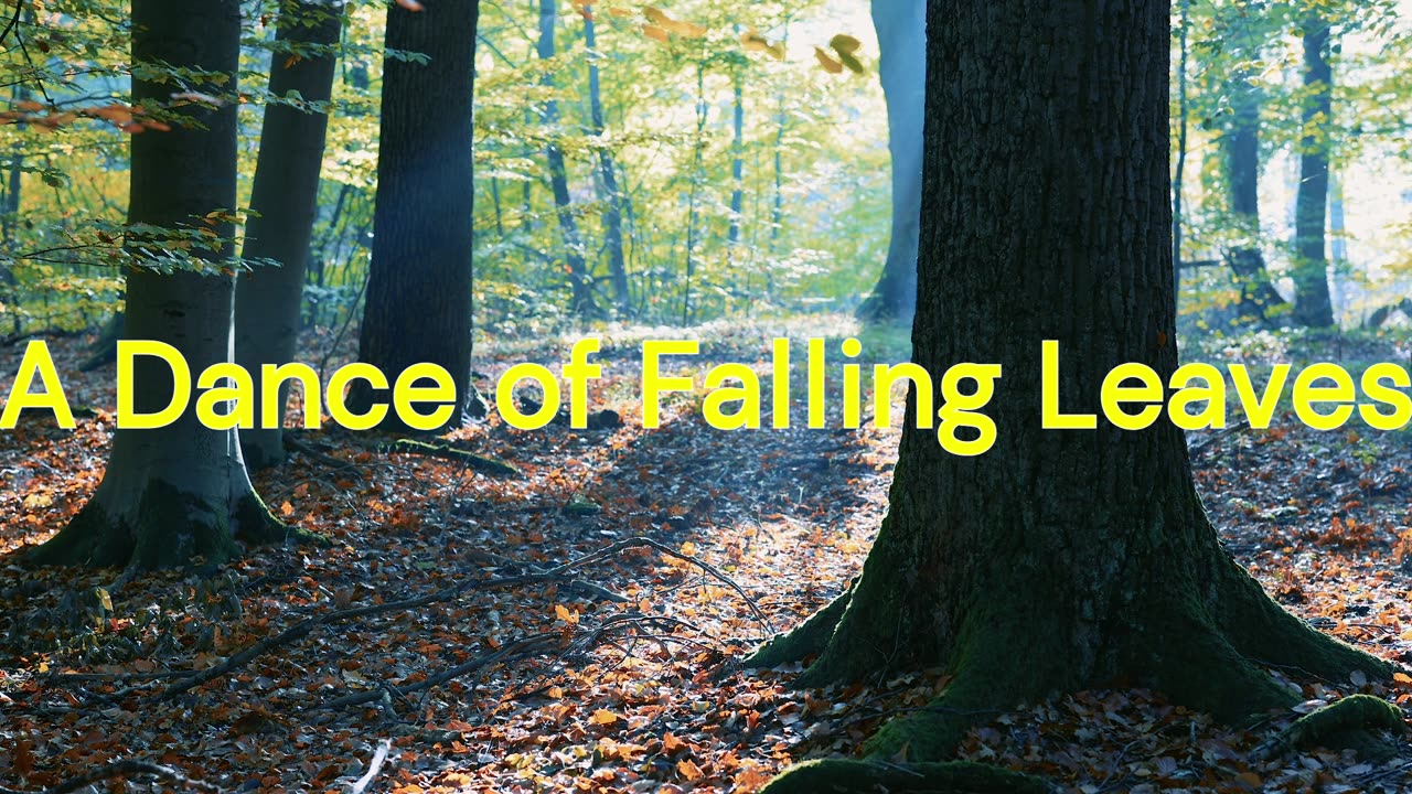 Autumn's Embrace: A Journey Through Falling Leaves