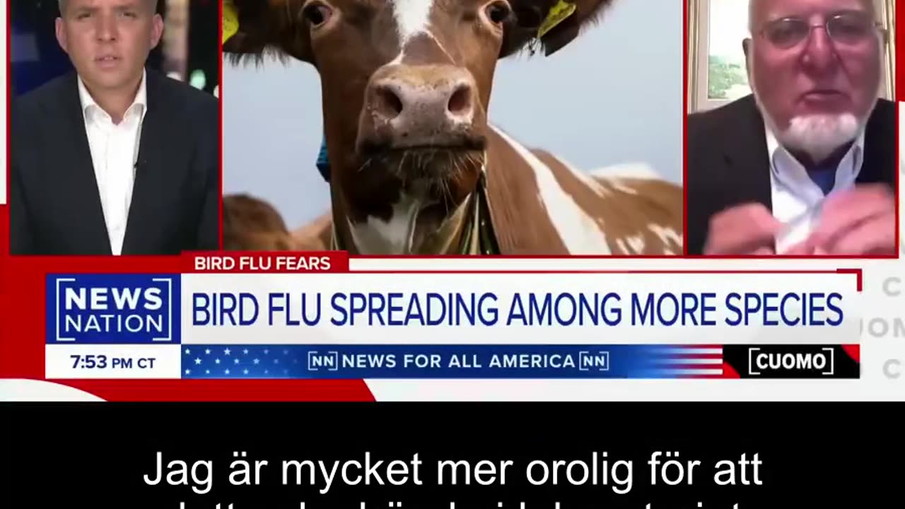 Dr David Martin; Det visar sig att du kan hitta ”aldrig sett förut” H5N2-viruset TILL SALU