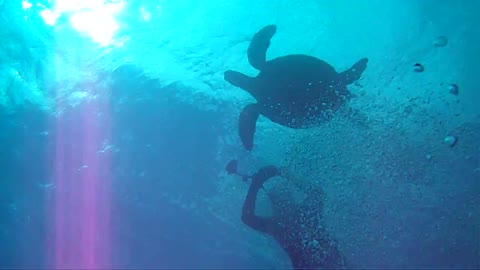 APyratesLyfe in Hawaii