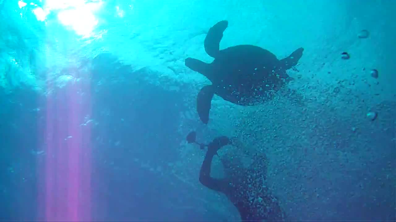 APyratesLyfe in Hawaii