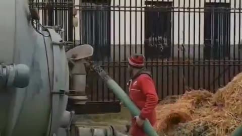 Bravi ,fatteli annegare nella merda .