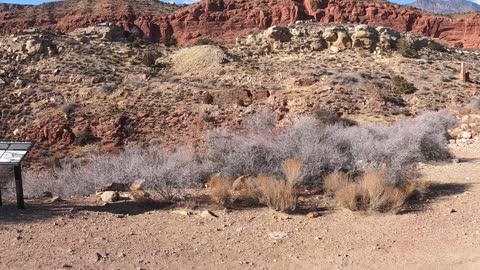 Anasazi and silver reef