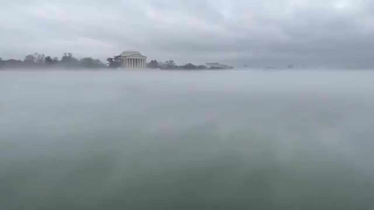 Dense fog hovers over D.C area