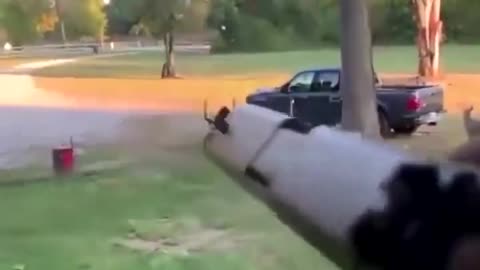 Now this how you kill a spider 😭