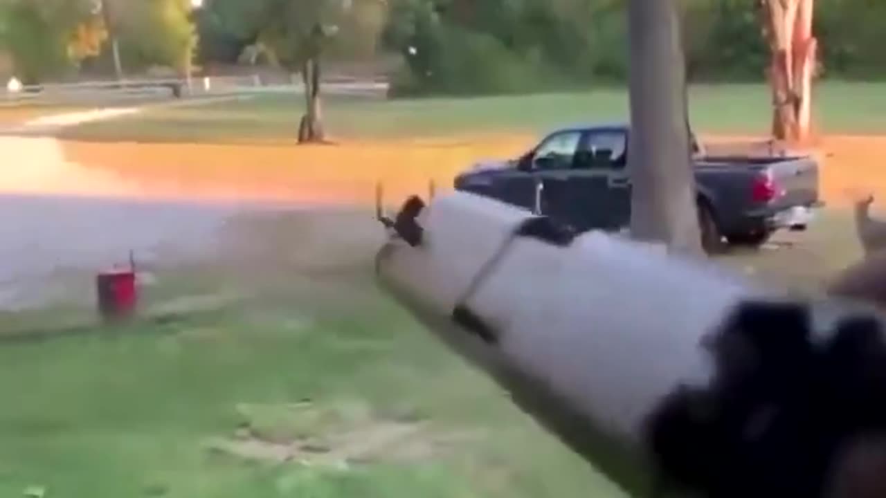 Now this how you kill a spider ðŸ˜