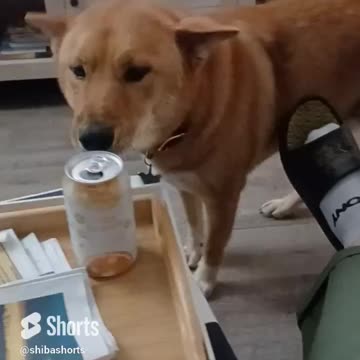 he tried to sneak the soda but had to answer the door instead