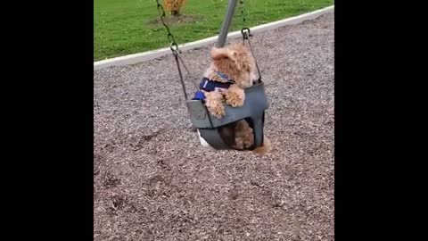 Best Funny Animals Video 2022 - Newest Cats😹 and Dogs🐶 Videos of the Week! #96