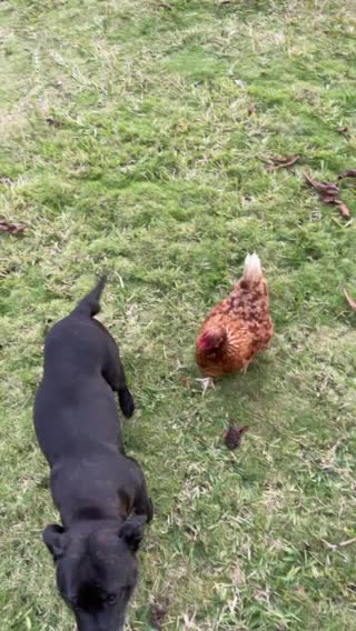 All my baby’s together hanging out