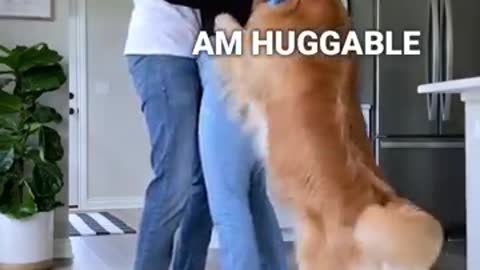 This Is What My Dog Does When I Hug My Husband