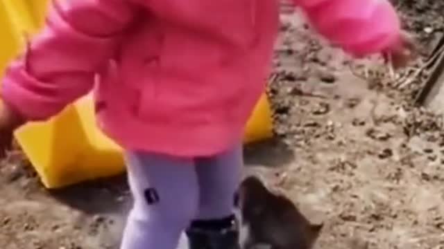 Cute Girl Plays With Puppy At The Park