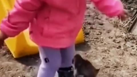 Cute Girl Plays With Puppy At The Park