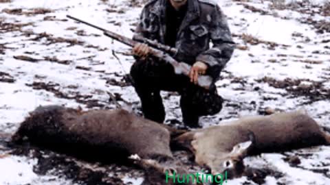 Welcome to Team Mosin_Original