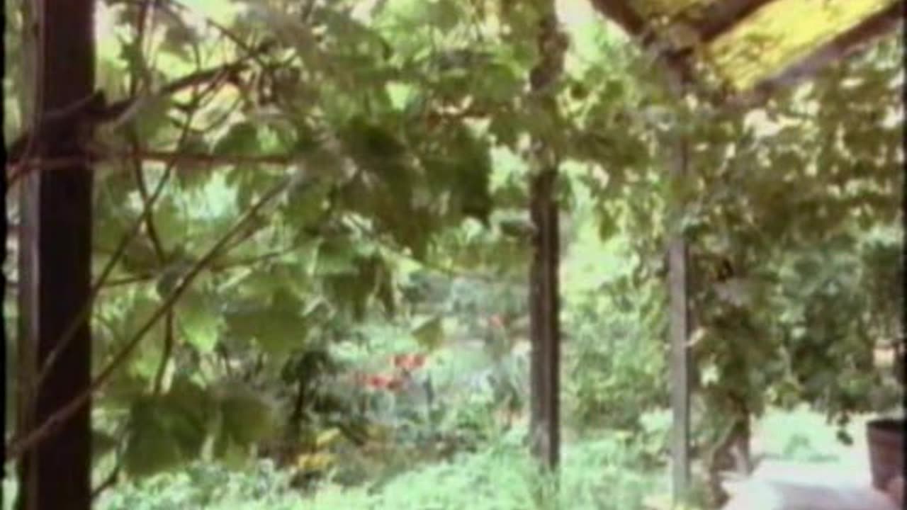 Bill Mollison - Global Gardener 4 - Urban Environments