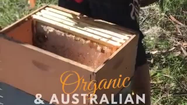 Australian Manuka Honey