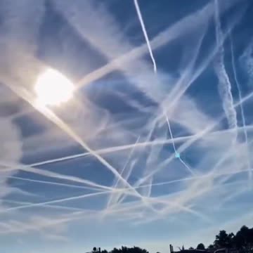 not looking good in holland