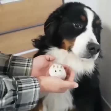 I am not gonna look at that?