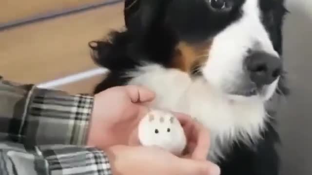 I am not gonna look at that?