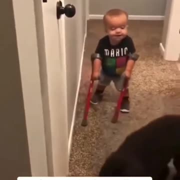 Look I am walking with my puppy