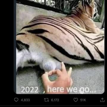 Donald Trump, Elon Musk, Dan Scavino- Raging Tiger— May 1, May 2, May 3– 123+++