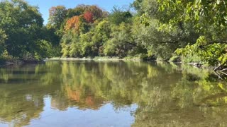 Autumn colors begin at James Gardens Toronto