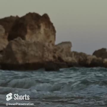 Transform your life in three very easy steps #shorts