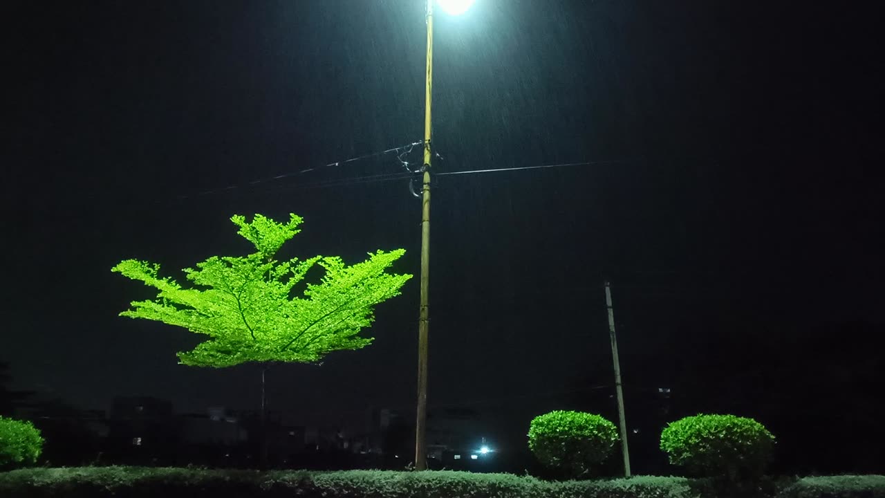 Nature