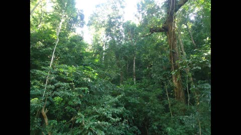 Quezon Protected Landscape