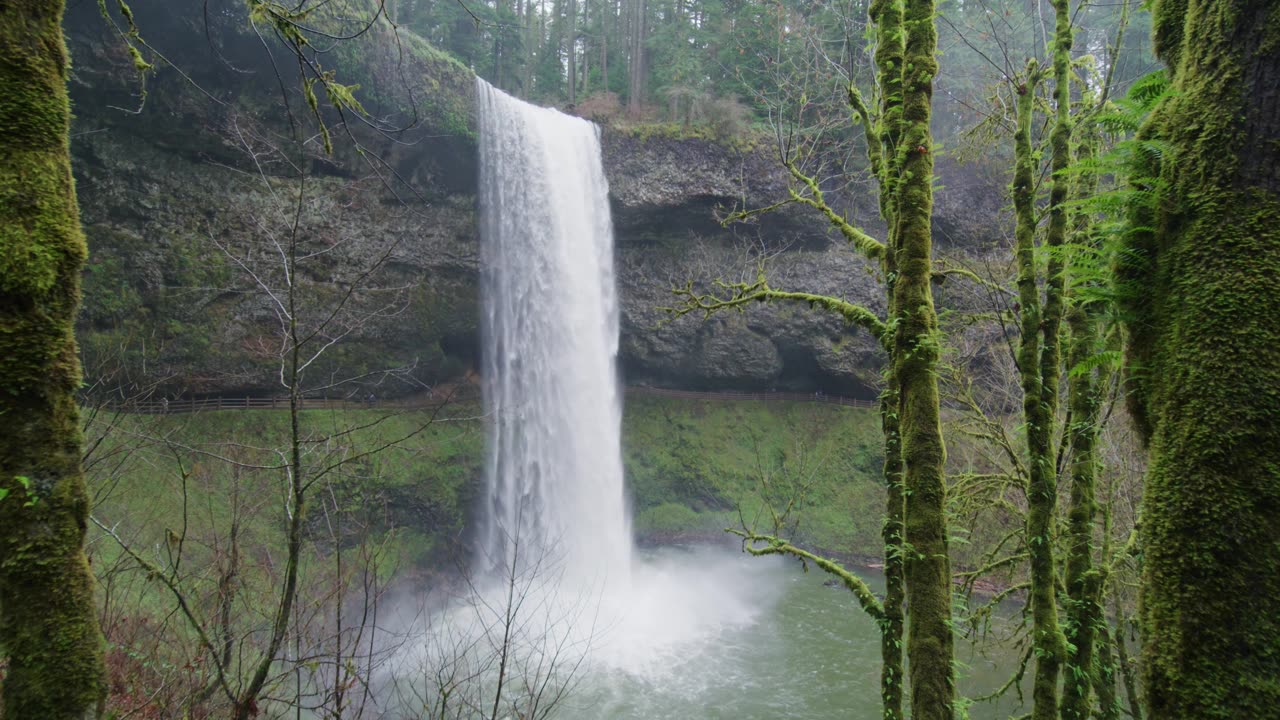 Waterfall in the Forest