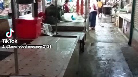 OLYMPIC FISH MARKET