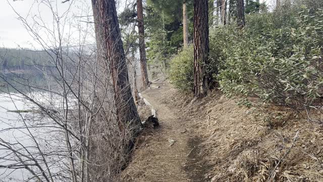 The Invigorating Smell of Nature is its Own Proprietary Blend – Suttle Lake – Central Oregon – 4K