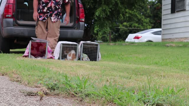 Feral cat release 8-6-21 Seymour TX