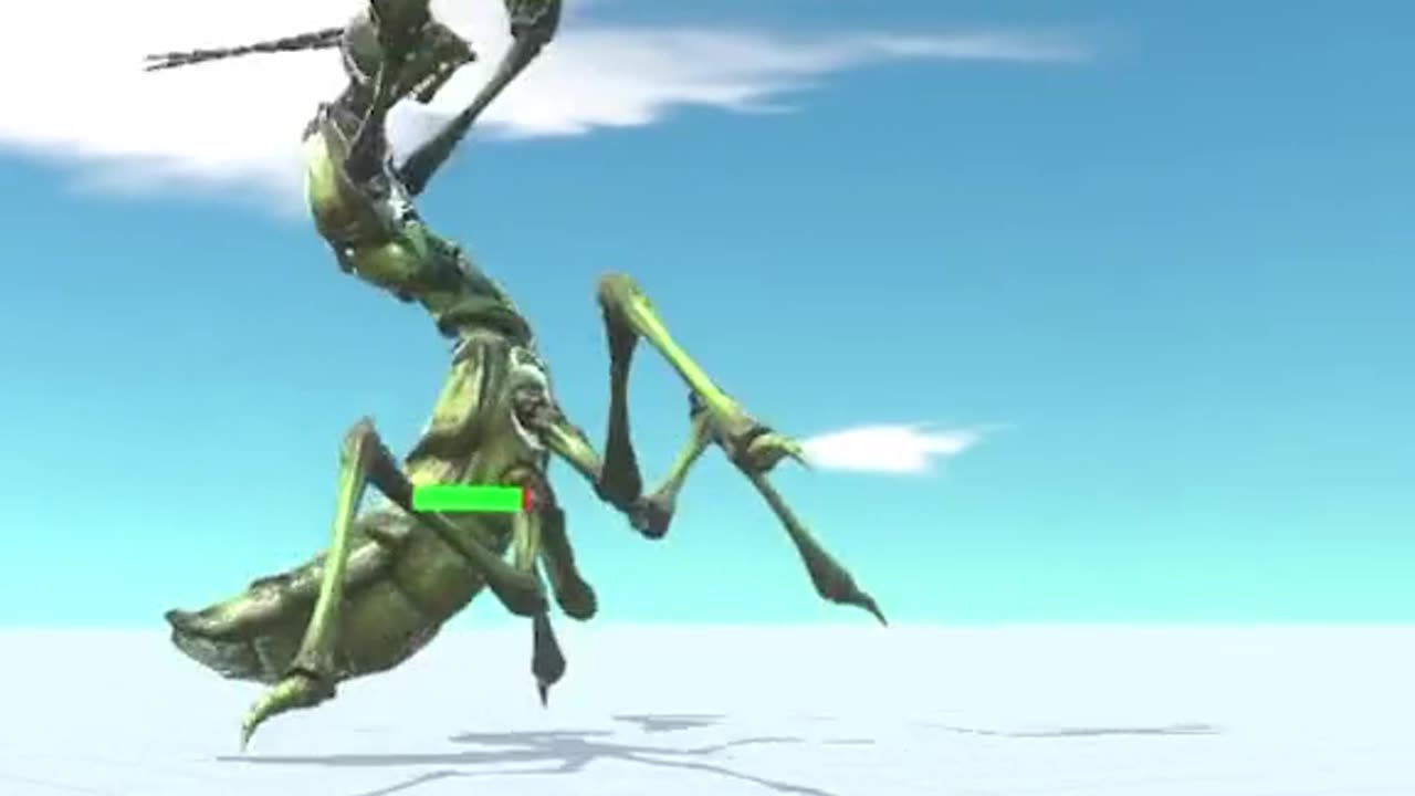 Insects