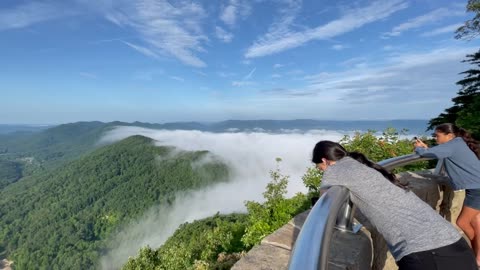 Mountain Mist