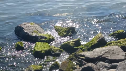 Beautiful view of the rocky beach