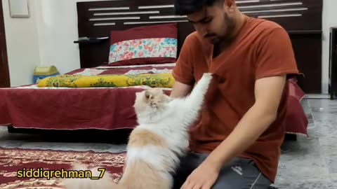 How much is the hotel 🛏️ to get rid 😭😔 to be