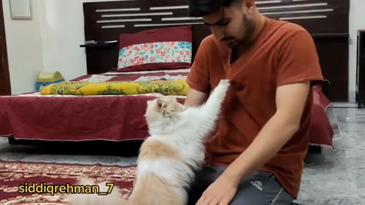 How much is the hotel 🛏️ to get rid 😭😔 to be