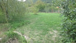 Village Views