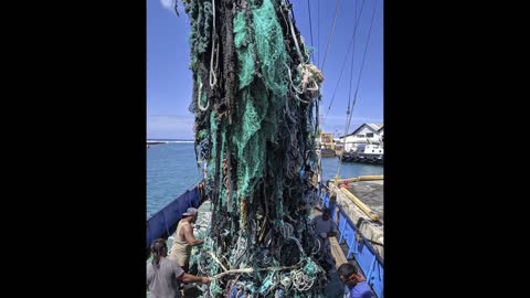 Le isole di plastica negli oceani,corsi d'acqua e terreni e il problema delle microplastiche che poi mangiano gli animali e poi finiscono nell'uomo e ora gli scienziati hanno trovato microplastiche nel sangue umano per la prima volta