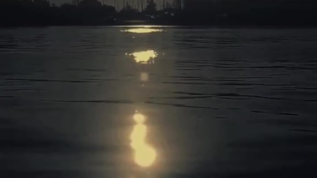 Relaxation video
