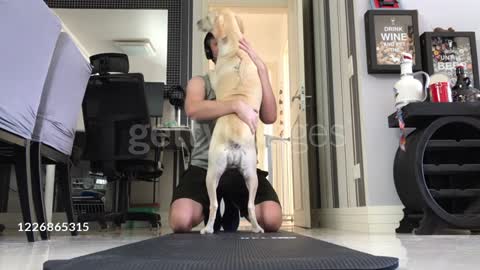 Dog Playing With His Owner